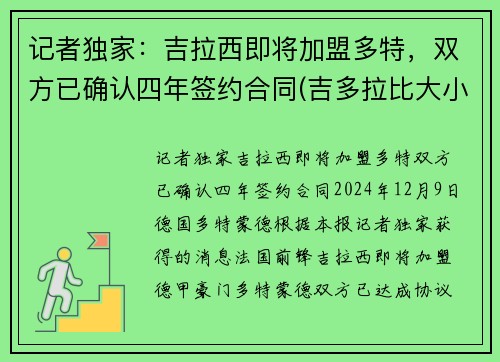 记者独家：吉拉西即将加盟多特，双方已确认四年签约合同(吉多拉比大小)