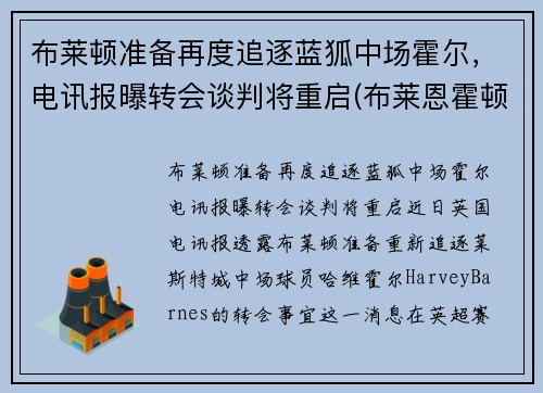 布莱顿准备再度追逐蓝狐中场霍尔，电讯报曝转会谈判将重启(布莱恩霍顿)