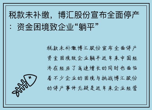 税款未补缴，博汇股份宣布全面停产：资金困境致企业“躺平”